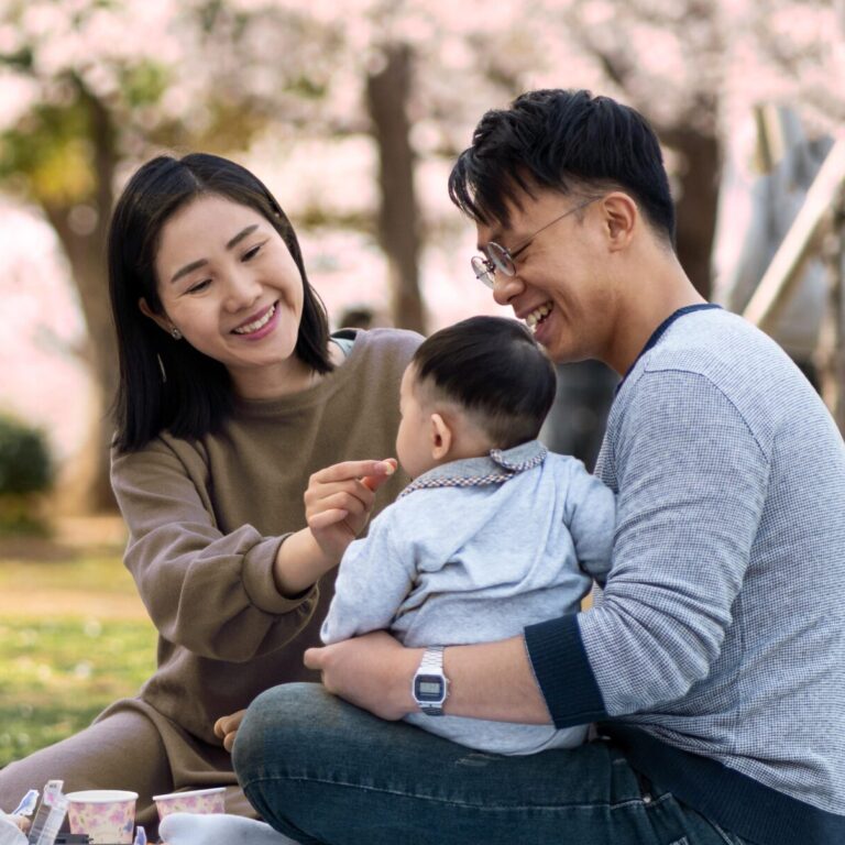 cherry blossoms scaled e1715956720361